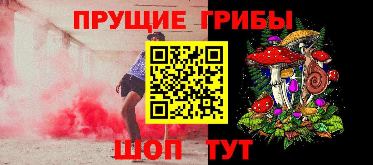Галлюциногенные грибы Cubensis  Вход с VPN  Ставрополь 