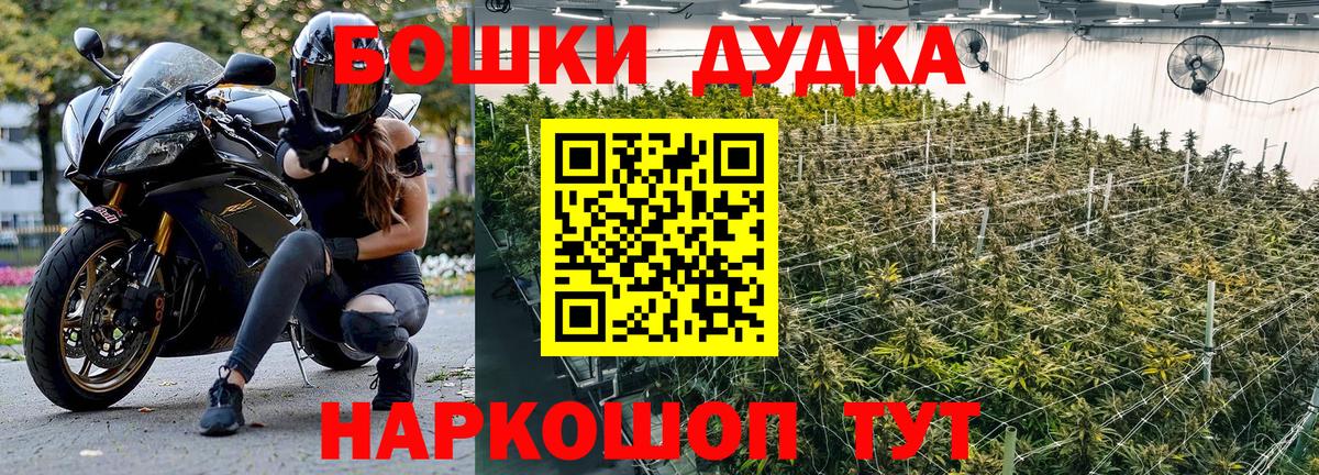 Марихуана сатива  Конопля ГИДРОПОН  Бошки марихуана LSD WEED  Бошки Шишки AK-47  Вход с VPN  Ставрополь 